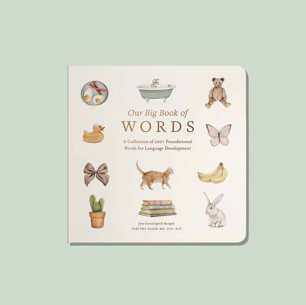 Our Big Book of First Words (Board Book)