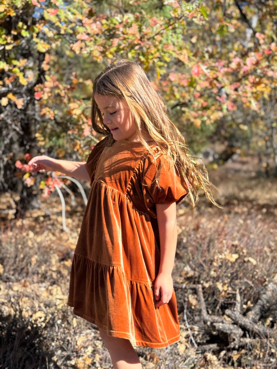 Autumn Dress
